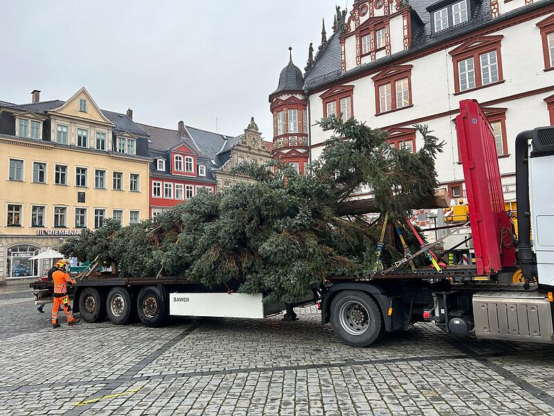 Unterwegs mit dem Coburger Weihnachtsbaum