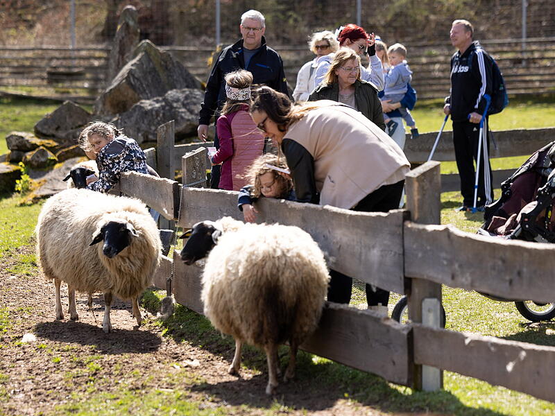 60.000 Menschen besuchen den Klaushof j&auml;hrlich. An dem Wildpark ist seit Jahren eine neue bayerische Umweltbildungsst&auml;tte im Gespr&auml;ch. Der Freistaat m&ouml;chte nun offenbar nicht selbst bauen, sondern pr&uuml;ft eine Anmietl&ouml;sung.
