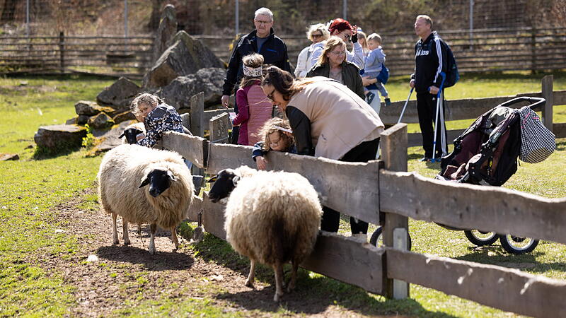 60.000 Menschen besuchen den Klaushof j&auml;hrlich. An dem Wildpark ist seit Jahren eine neue bayerische Umweltbildungsst&auml;tte im Gespr&auml;ch. Der Freistaat m&ouml;chte nun offenbar nicht selbst bauen, sondern pr&uuml;ft eine Anmietl&ouml;sung.