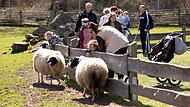 60.000 Menschen besuchen den Klaushof j&auml;hrlich. An dem Wildpark ist seit Jahren eine neue bayerische Umweltbildungsst&auml;tte im Gespr&auml;ch. Der Freistaat m&ouml;chte nun offenbar nicht selbst bauen, sondern pr&uuml;ft eine Anmietl&ouml;sung.