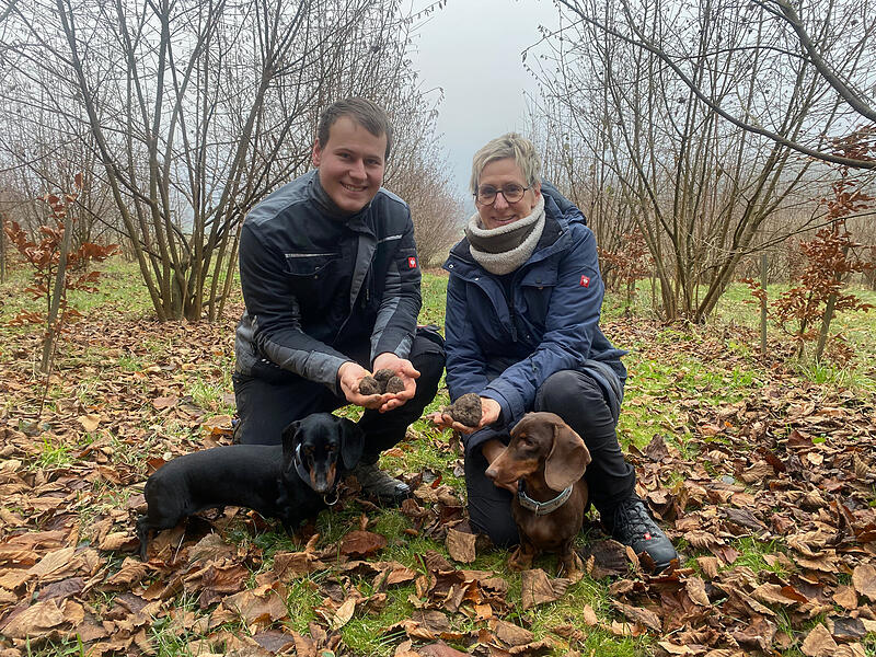 In Birkenreuth geht Familie Hofmann neue Wege in der Landwirtschaft und setzt auf den Anbau von Tr&uuml;ffeln.