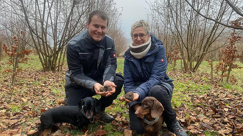 In Birkenreuth geht Familie Hofmann neue Wege in der Landwirtschaft und setzt auf den Anbau von Tr&uuml;ffeln.