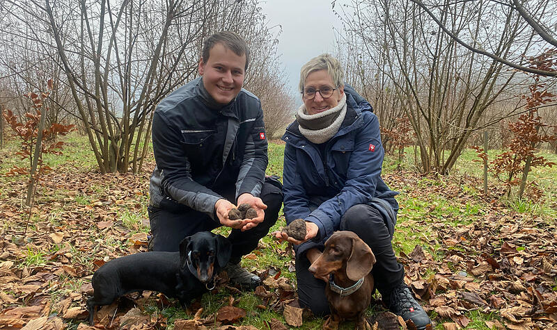 Trüffelsuche Fränkische SchweizTrüffelsuche Fränkische Schweiz In Birkenreuth geht Familie Hofmann neue Wege in der Landwirtschaft und setzt auf den Anbau von Trüffeln.