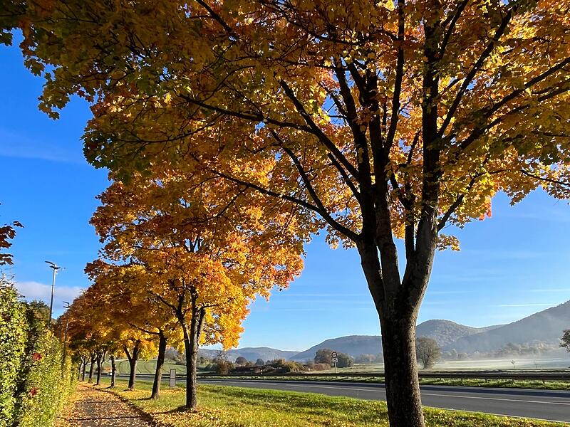 Leuchtende Farben unter stahlblauem Himmel &ndash; das ist auch im Wiesenttal im Oktober m&ouml;glich.