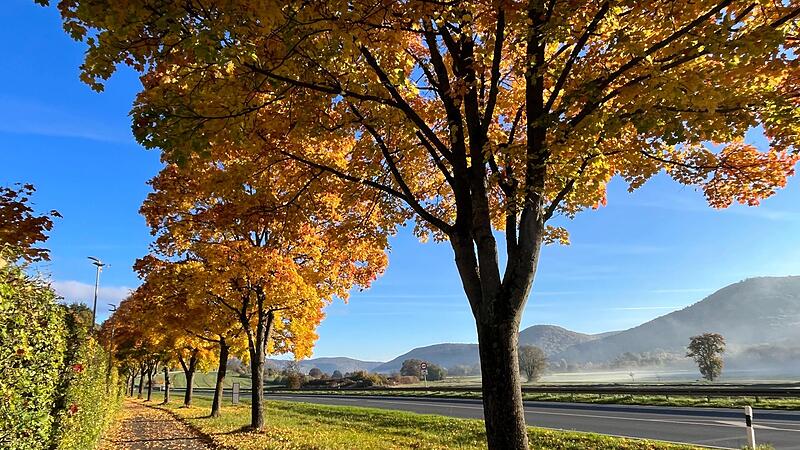Leuchtende Farben unter stahlblauem Himmel &ndash; das ist auch im Wiesenttal im Oktober m&ouml;glich.