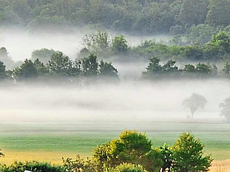 Bodennebel in der Region geh&ouml;rt zu den ersten Herbstanzeichen. Christian K&ouml;nig