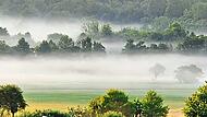 Bodennebel in der Region gehört zu den ersten Herbstanzeichen. Christian König Bodennebel in der Region gehört zu den ersten Herbstanzeichen. Christian König