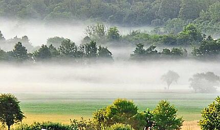 Bodennebel in der Region geh&ouml;rt zu den ersten Herbstanzeichen. Christian K&ouml;nig