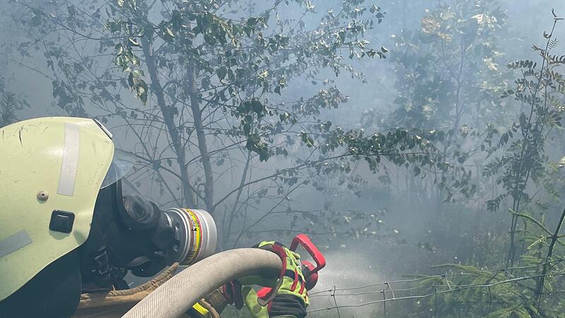 Rund 150 Feuerwehrleute waren im Einsatz, um den Brand bei Ludwigsstadt zu bek&auml;mpfen.