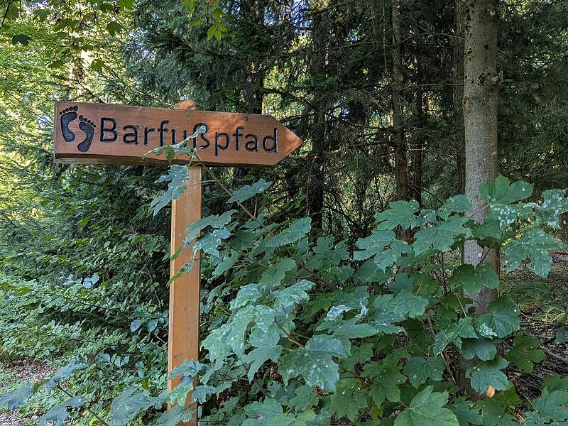 Naturlehrpfad RehbergNaturlehrpfad Rehberg