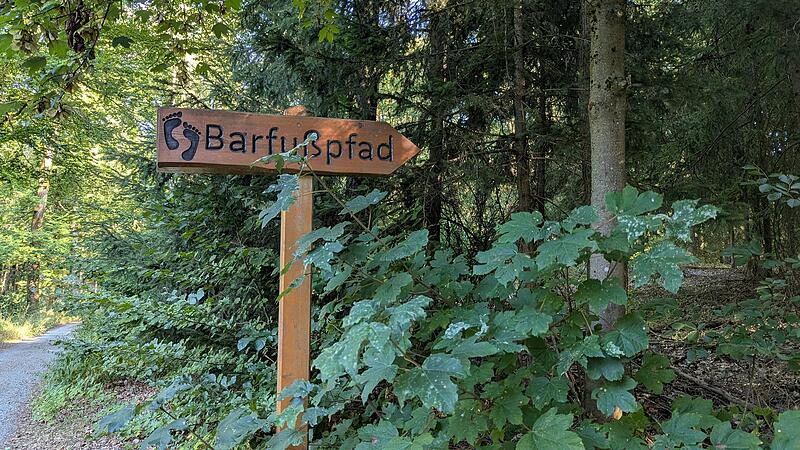 Naturlehrpfad RehbergNaturlehrpfad Rehberg