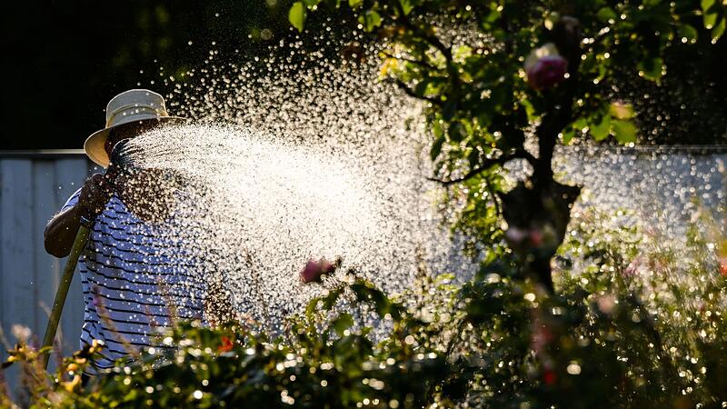 Bew&auml;sserung von Blumenbeet