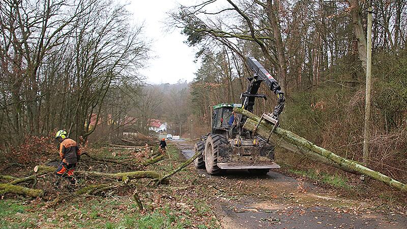 Jan Pfadenhauer (vorne) und Thomas Birklein (hinten) sind mit der Motorsäge zugange, um das Holz aufzuarbeiten. Georg Ebert holt mit seiner Forstmaschine abgesägte Bäume aus dem Wald und räumt sie an den Straßenrand.