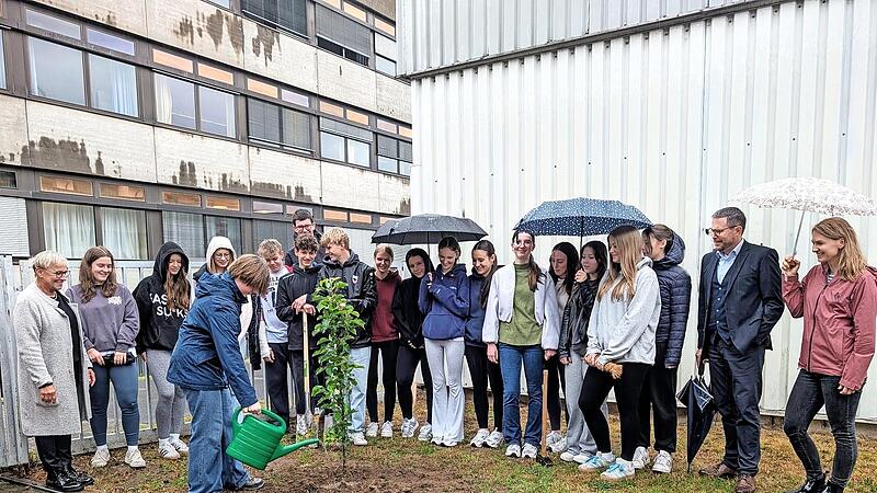 Die Pflanzaktion der Schulklasse fand bei Regen, doch in bester Laune gemeinsam mit der stellvertretenden Landrätin Rosi Kraus, dem Schulleiter Bruno Kuntke, der Klassleitung und Mitarbeitern des Landratsamtes Forchheim statt.