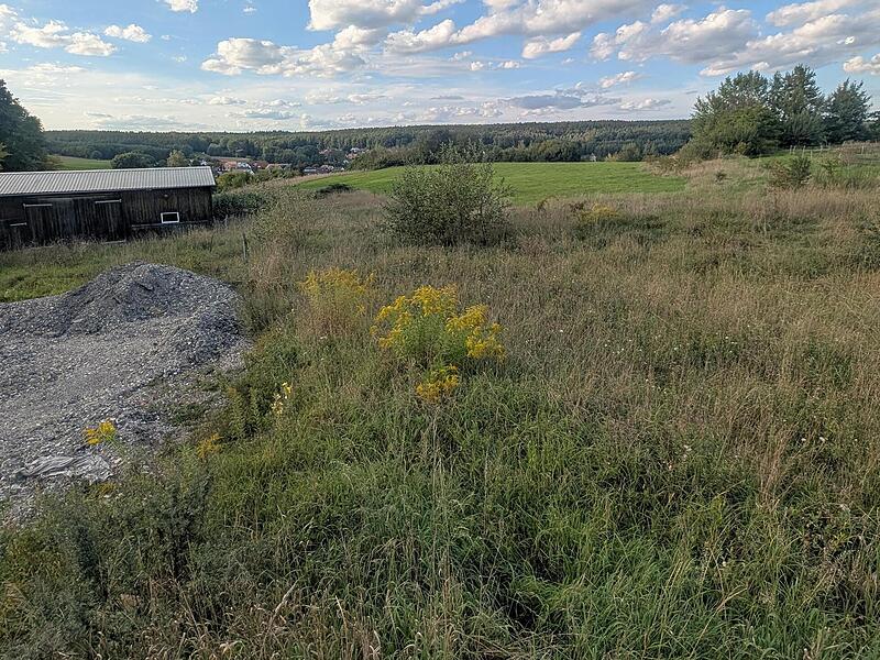 Noch ist das &bdquo;Bergfeld&ldquo; am Ortsrand von Oesdorf unbebaut. Auch die alte Scheuer links im Bild soll im Zuge der Bebauung verschwinden. Barbara Hollfelder