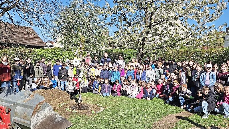 Baumpflanzaktion an der Grund- und Mittelschule Oerlenbach.
