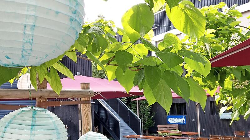 Der Garten des E-Werks