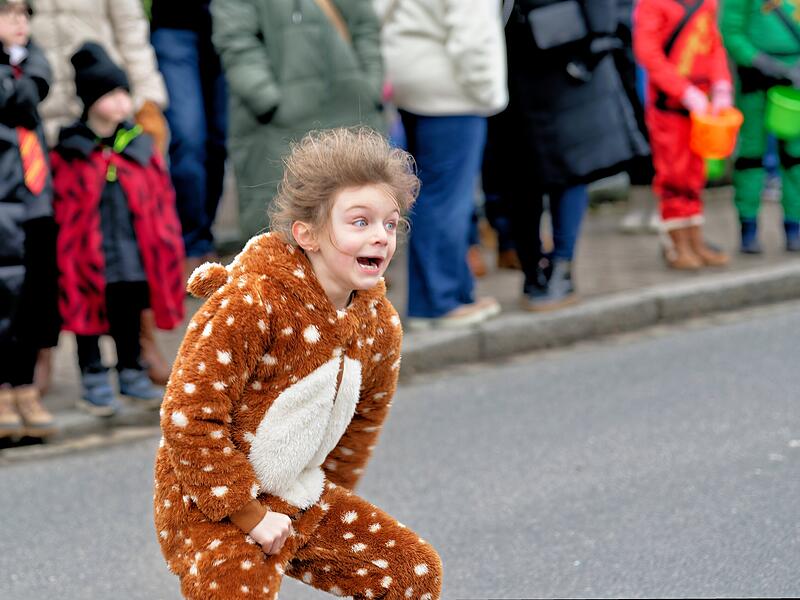 Alle Fotos vom Faschingszug in Oberhaid 2026