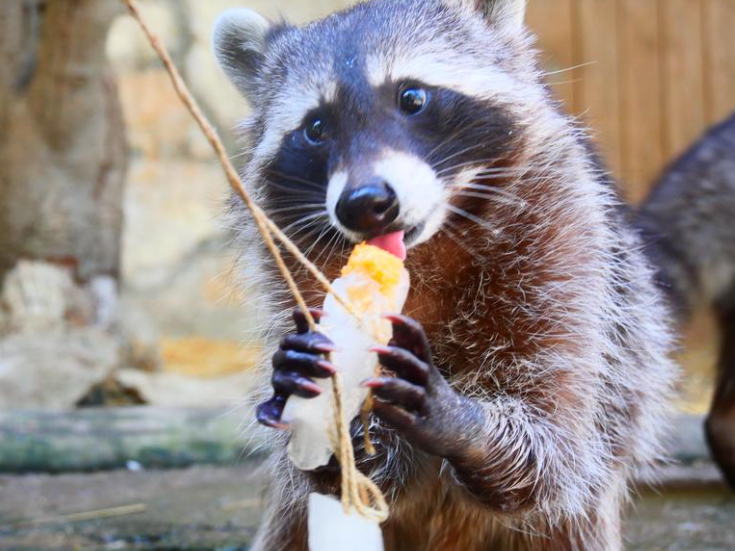 Forchheim & Fränkische Schweiz