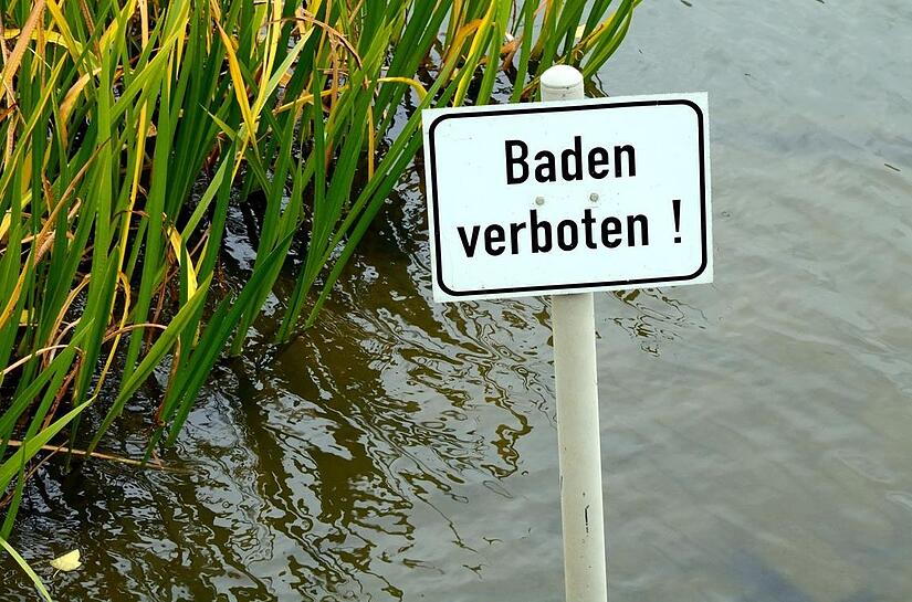 Baden im Forchheimer Stadtgebiet ist  tabu. Wenngleich dies jetzt im Winter zwar kaum eine Rolle spielt, muss sich die Politik dennoch damit besch&auml;ftigen. Werden Trubach und Co. vielleicht wieder Bade-Hotspots?Forchheim & Fr&auml;nkische Schweiz