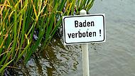 Baden im Forchheimer Stadtgebiet ist  tabu. Wenngleich dies jetzt im Winter zwar kaum eine Rolle spielt, muss sich die Politik dennoch damit besch&auml;ftigen. Werden Trubach und Co. vielleicht wieder Bade-Hotspots?Forchheim & Fr&auml;nkische Schweiz