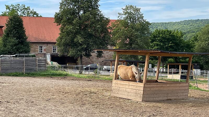 Der Reiterverein Bad Kissingen und Pächterin Julia Hobusch gehen nach zehn Monaten getrennte Wege. Der Verein will die Reitanlage an der Oberen Saline ab sofort in Eigenregie betreiben. Der Reiterverein Bad Kissingen und Pächterin Julia Hobusch gehen nach zehn Monaten getrennte Wege. Der Verein will die Reitanlage an der Oberen Saline ab sofort in Eigenregie betreiben.
