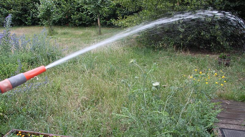 So mancher Altenkunstadter hat sich einen Z&auml;hler f&uuml;r die Gartenbew&auml;sserung zugelegt. F&uuml;r Gemeinderat Gunther Czepera ein Unding in Zeiten des Klimawandels.