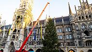 Christbaum auf dem Marienplatz