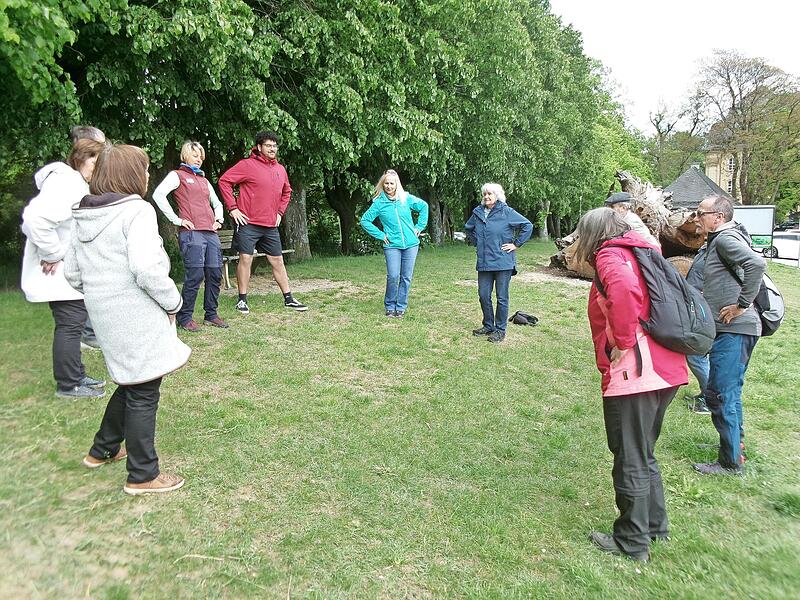 Die Teilnehmenden des Waldspaziergangs &bdquo;Aktiv und fit im Alter&ldquo; absolvieren Bewegungs&uuml;bungen in der Natur rund um Kloster Banz.