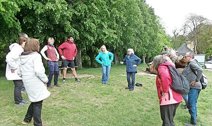 Die Teilnehmenden des Waldspaziergangs &bdquo;Aktiv und fit im Alter&ldquo; absolvieren Bewegungs&uuml;bungen in der Natur rund um Kloster Banz.