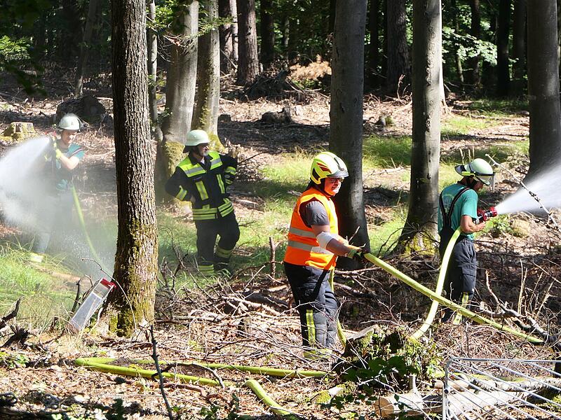 Waldbrand bei Dankenfeld Waldbrand bei Dankenfeld