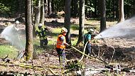 Waldbrand bei Dankenfeld