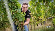 Daniel Heßdörfer in einem Versuchsweinberg der Veitshöchheimer Landesanstalt für Wein- und Gartenbau am Thüngersheimer Scharlachberg. Der Jahrgang 2025 habe Potenzial.