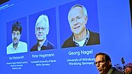 Bekanntgabe Nobelpreis - Physiologie oder Medizin