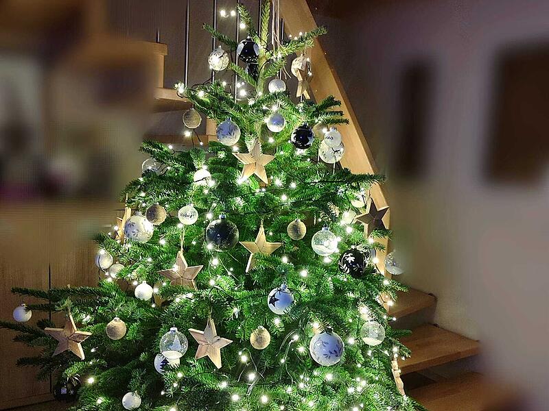 Weihnachtsbaum