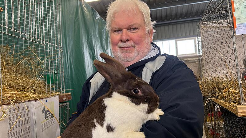 Kleine Sensation bei der Thurnauer Ausstellung: Denn die Rasse &bdquo;Mecklenburger Schecke&ldquo; gibt es normalerweise noch nicht im Farbenschlag braun-wei&szlig;. Diese Auspr&auml;gung befindet sich derzeit in der Anerkennungsphase.