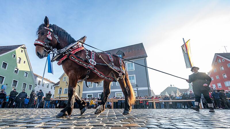 Berchinger Rossmarkt
