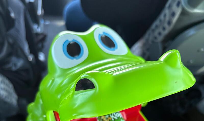 Der Kroko-Doc begleitet die Alligators nicht zum ersten mal bei einer Aufwärtsfahrt Der Kroko-Doc begleitet die Alligators nicht zum ersten mal bei einer Aufwärtsfahrt