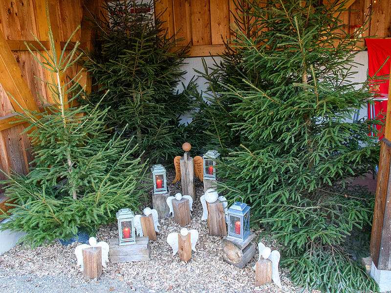 Fotoserie: 40. Bildhäuser Weihnachtsbasar