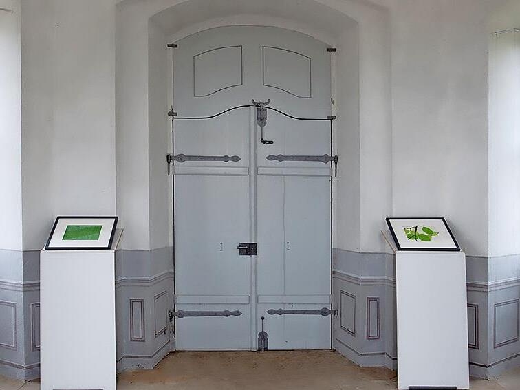 Die Kunstwerke von Walli Bauer und Michaela Schwarzmann treten bei der Ausstellung in Dialog.