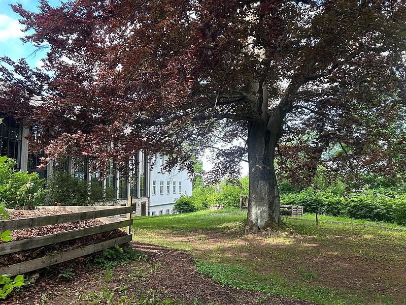 Der neue Contakt-Garten in Coburg soll Lust auf Umwelt- und Naturschutz machen.