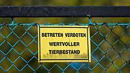 Vogelgrippe - Neuhardenberg
