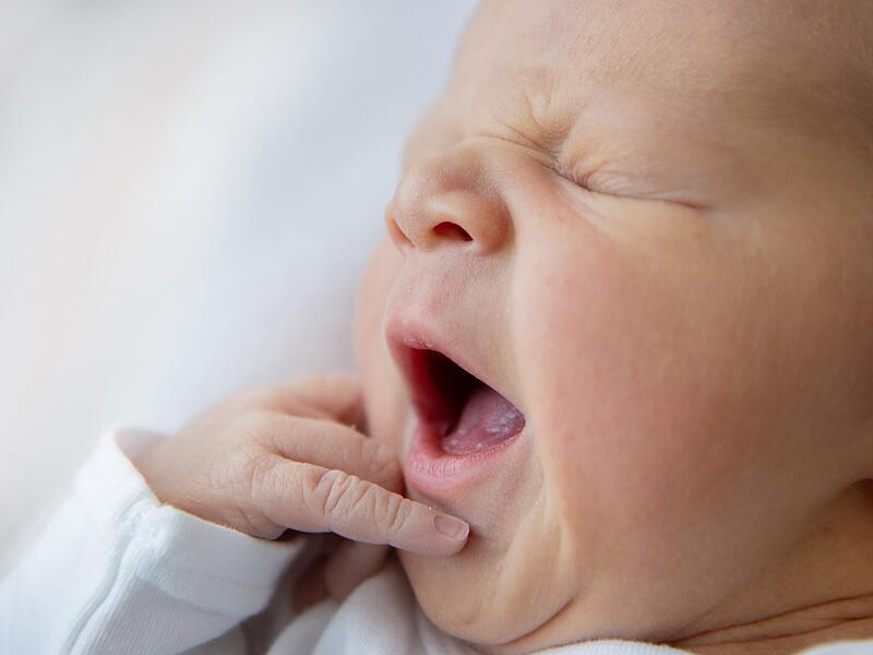 417 Geburten gab es im Jahr 2025 in der Frankenwaldklinik Kronach.