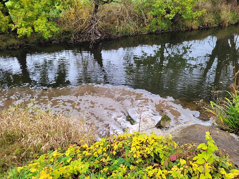 „Es kommt nach starkem Regen ja oft vor, dass die Saale trüb ist. Diesmal ist es aber der kleine Eschenbach (mündet bei Untereschenbach in die Saale), der die Schlammmassen in die vermeintlich saubere Saale spült.“