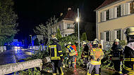 Am Montagabend (15.04.2024) stürmte es auch zwischen Bug und Pettstadt (Lkr. Bamberg). Dabei stürzte ein Baum, aufgrund des starken Windes um. Die Feuerwehr war im Einsatz.