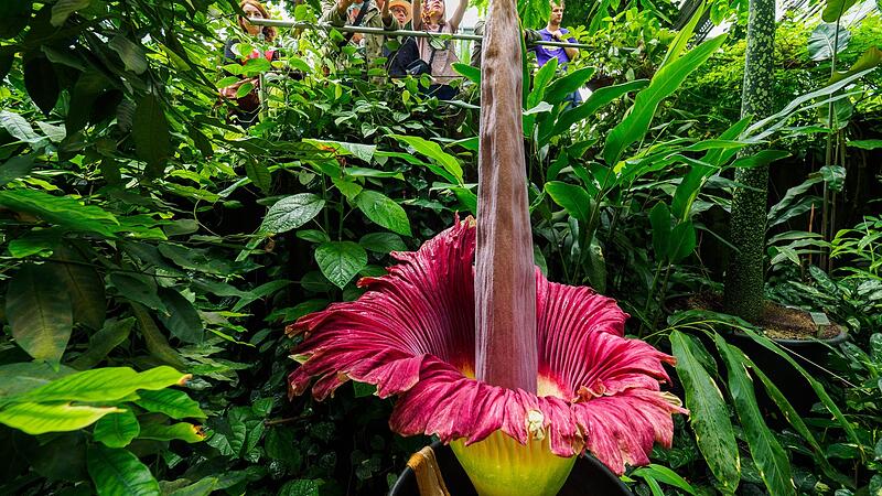Botanischer Garten Bayreuth