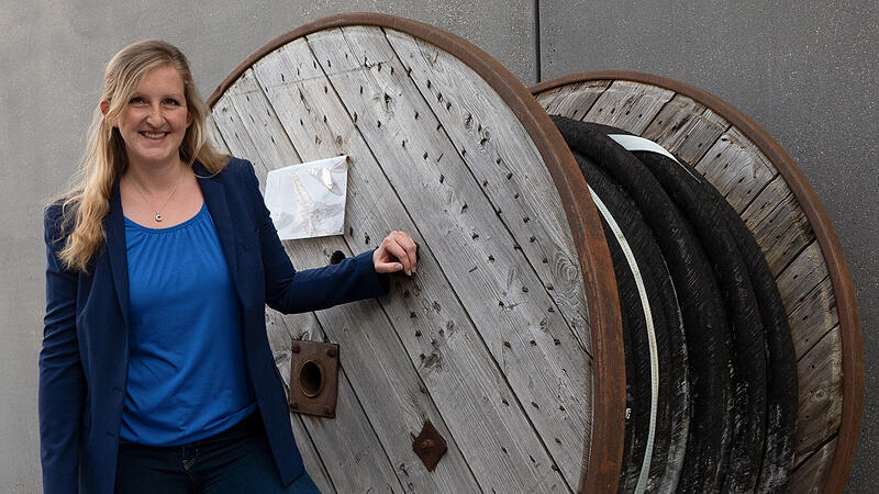 BayWISS-Preis 2024: Innovation bei Stromnetz-Diagnose