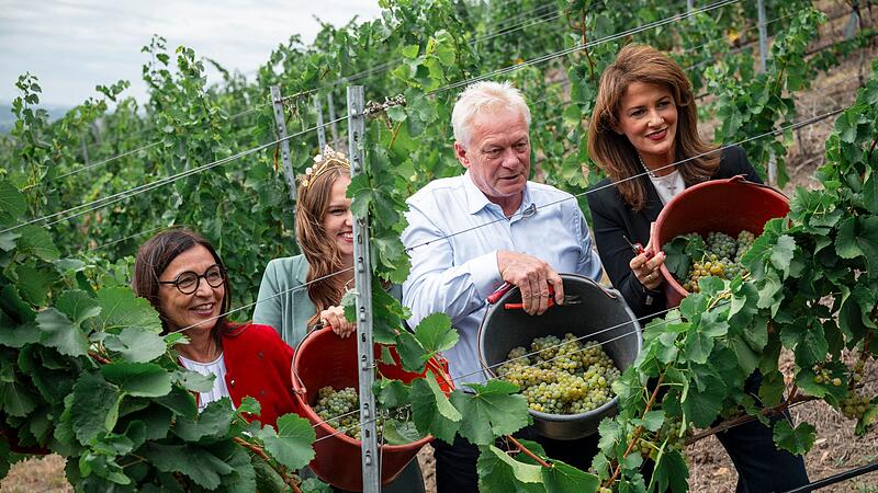 Offizielle Er&ouml;ffnung Weinlese