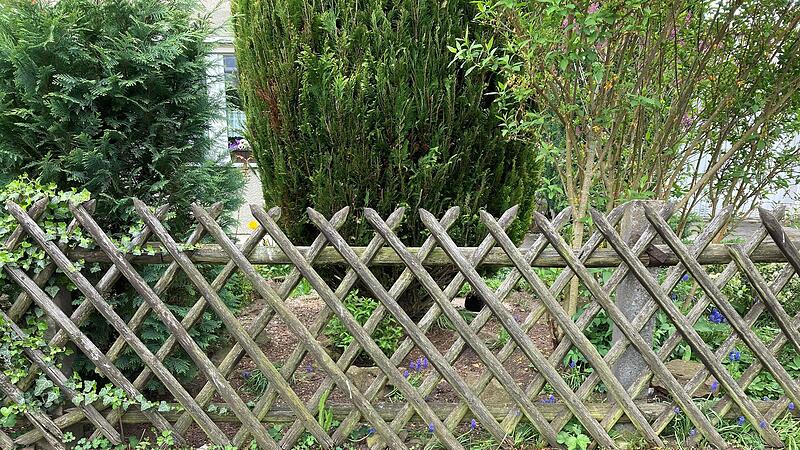 Manch ein Bürokrat würde das, was er auf diesem Bild sieht, als nicht lebende Einfriedung bezeichnen, man könnte aber auch schlichtweg Zaun sagen.
