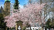 Der Kapellenfriedhof steht am Sonntag, 7. Juni, im Mittelpunkt des Welterbetages. Unter anderem widmet sich ein Programmpunkt der Restaurierung von Steinbauten. Der Kapellenfriedhof steht am Sonntag, 7. Juni, im Mittelpunkt des Welterbetages. Unter anderem widmet sich ein Programmpunkt der Restaurierung von Steinbauten.